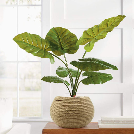 Round Woven Storage Basket